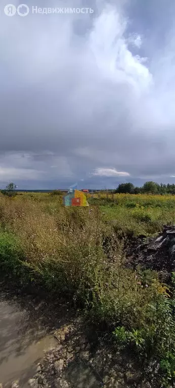 Участок в Тульская область, городской округ Тула, деревня Тихвинка (48 ... - Фото 1