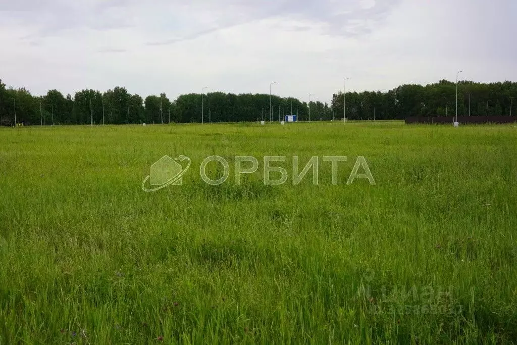 Участок в Тюменская область, Тюменский муниципальный округ, ... - Фото 2