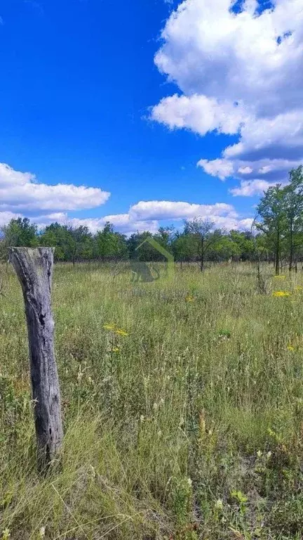 Участок в Самарская область, с. Шигоны ул. Кооперативная (15.0 сот.) - Фото 2