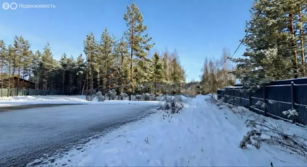 Участок в Нижегородская область, Городецкий муниципальный округ, ... - Фото 1