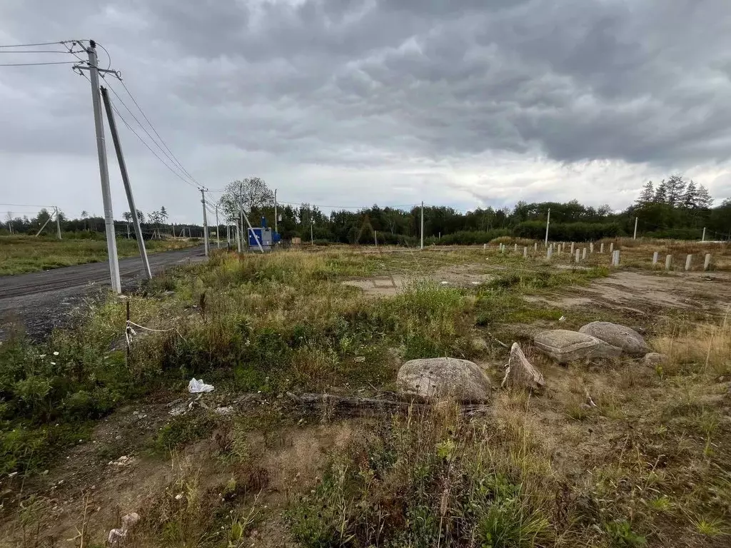 Участок в Ленинградская область, Всеволожский район, Токсовское ... - Фото 2