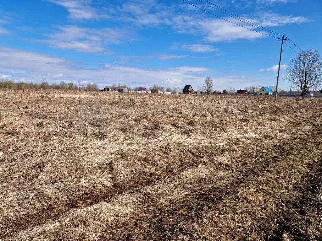 Участок в Новгородская область, Новгородский район, Трубичинское ... - Фото 0