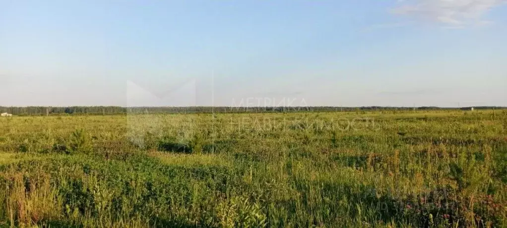 Участок в Тюменская область, Тюменский район, с. Кулига  (299.43 сот.) - Фото 0