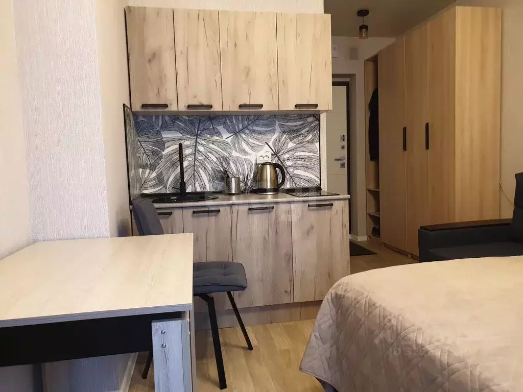 Студия Новосибирская область, Новосибирский район, Станционный ... - Фото 2