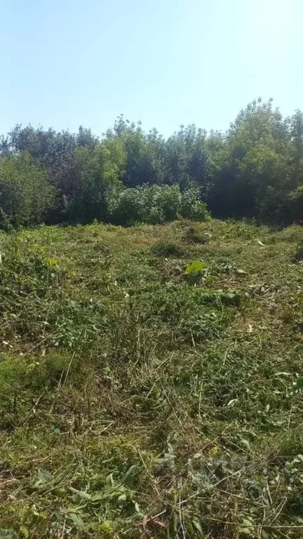 Участок в Татарстан, Лаишевский район, с. Сокуры Дачная ул. (6.0 сот.) - Фото 1