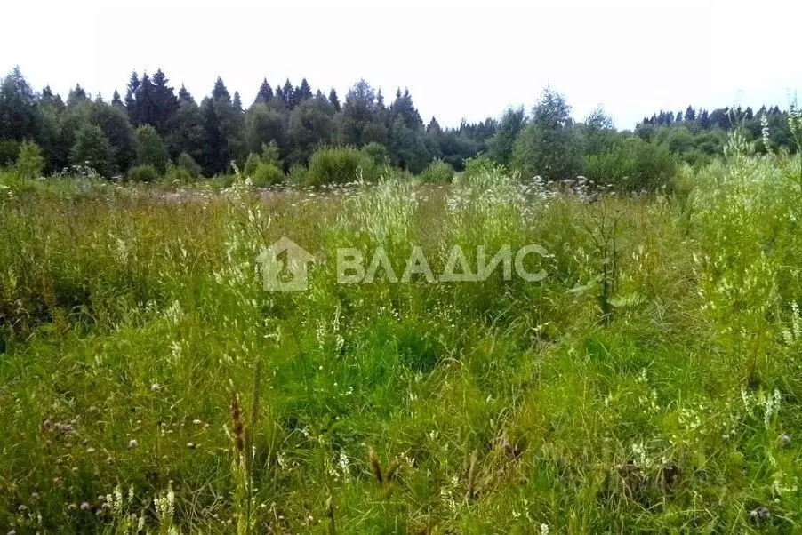 Участок в Калужская область, Боровский муниципальный округ, Совьяки ... - Фото 1