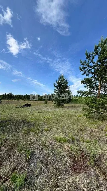 Участок в Бурятия, Улан-Удэ ул. Кипарисовая, 75 (8.0 сот.) - Фото 1