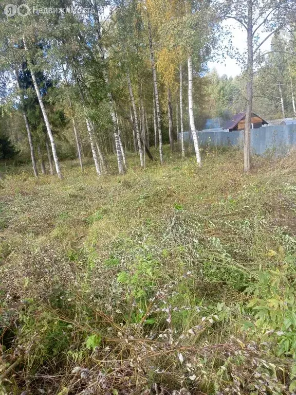 Участок в муниципальное образование Киров, деревня Бони, Андреевская ... - Фото 1