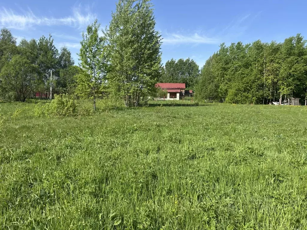 Участок в Владимирская область, Александровский район, Каринское ... - Фото 1