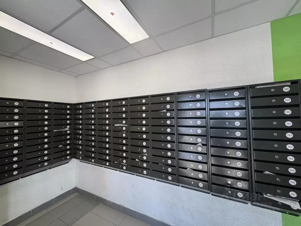 Свободной планировки кв. Пермский край, Пермь ул. Солдатова, 29В (38.0 ... - Фото 2