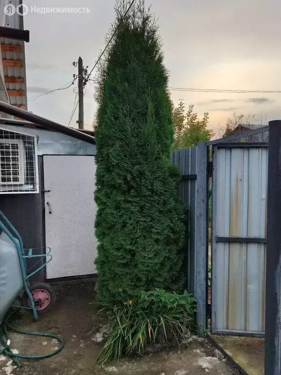 Дом в Челябинск, СТ Сигнал-4, 3-я улица (43 м) - Фото 2