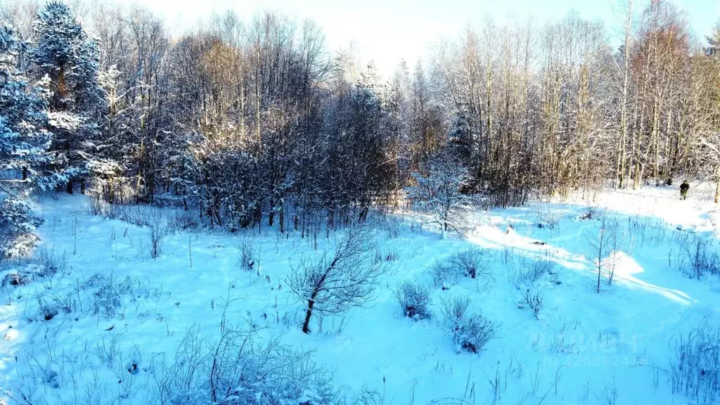 Участок в Ленинградская область, Выборгский район, Советское городское ... - Фото 2