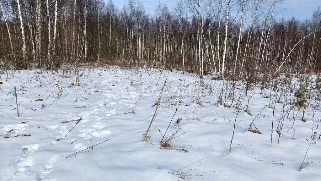 Участок в Калужская область, Калуга городской округ, д. Матюнино  ... - Фото 1