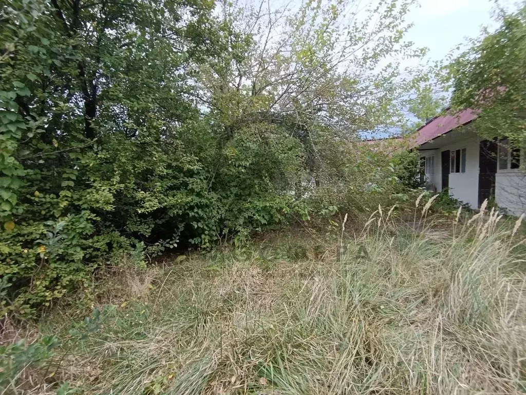 Участок в Краснодарский край, Туапсинский муниципальный округ, пос. ... - Фото 1