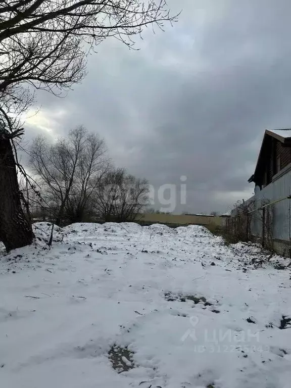 Участок в Ростовская область, Азовский район, Рогожкино хут.  (12.0 ... - Фото 0