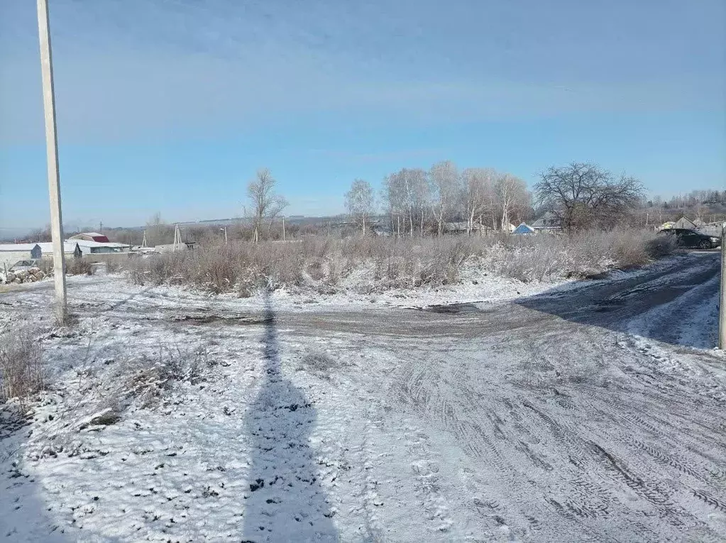 Участок в Мордовия, Саранск городской округ, с. Горяйновка ул. ... - Фото 0