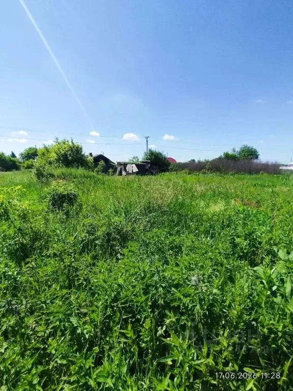 Участок в Курганская область, Щучанский муниципальный округ, с. Каясан ... - Фото 1