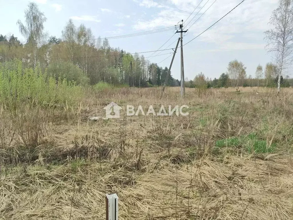 Участок в Московская область, Ногинск Богородский городской округ, ул. ... - Фото 2