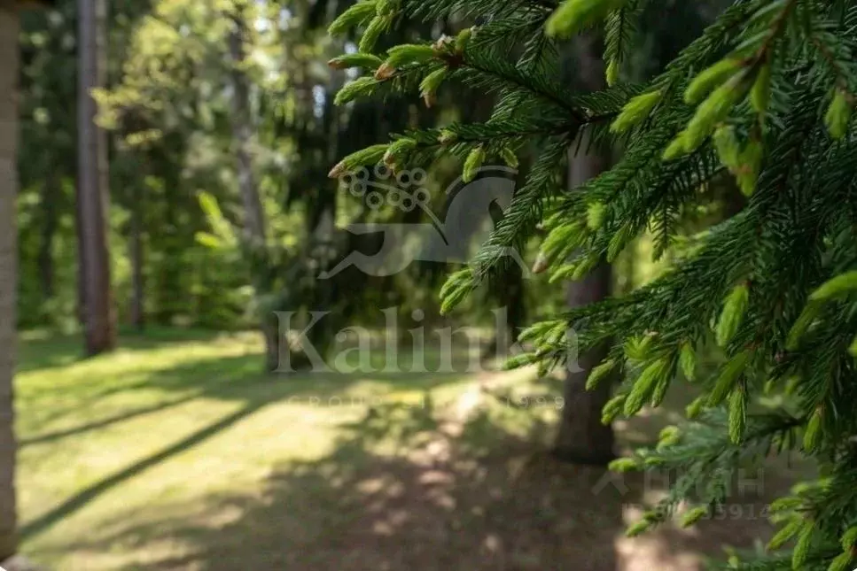 Участок в Московская область, Одинцовский городской округ, пос. ... - Фото 1