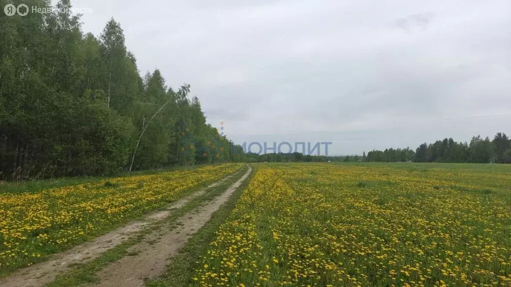 Участок в село Каменки, коттеджный посёлок Ромашково (9 м) - Фото 0