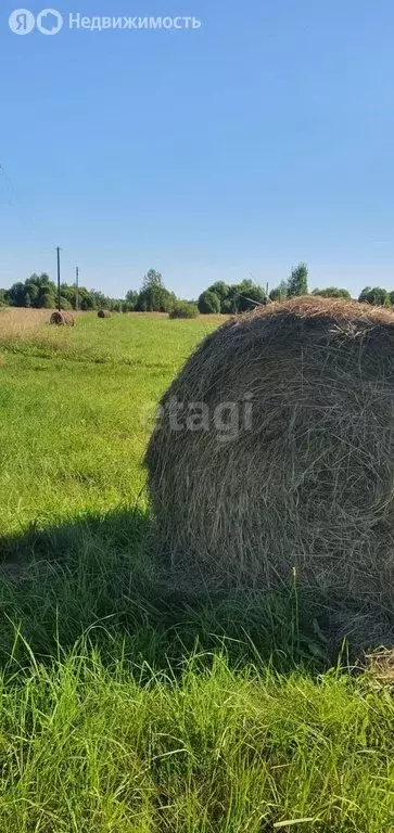 Дом в Псковская область, Печорский муниципальный округ, деревня ... - Фото 0