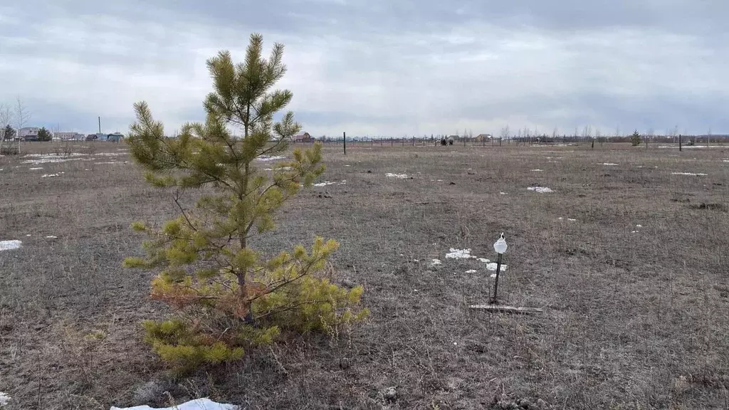 Участок в Саха (Якутия), Якутск городской округ, с. Тулагино ул. ... - Фото 1