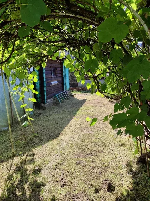 Дом в Псковская область, Псковский район, Ядровская волость, Пчелка ... - Фото 2