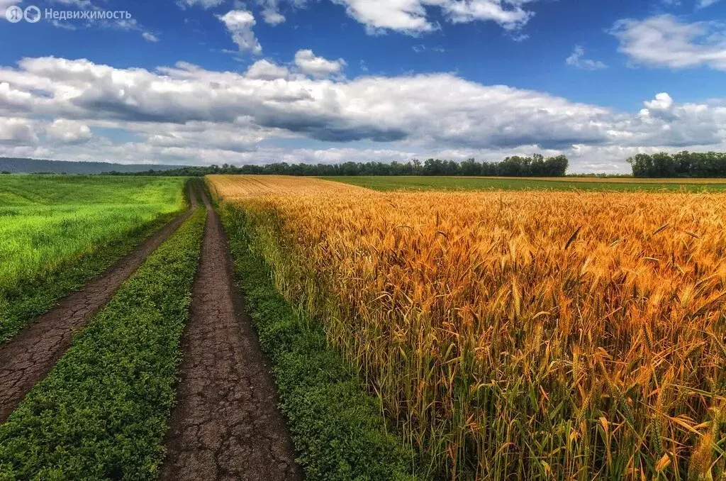 Участок в Иссадское сельское поселение, посёлок Речников (20 м) - Фото 2