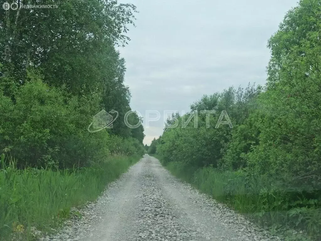 Участок в Тюменская область, Нижнетавдинский муниципальный округ, ... - Фото 1