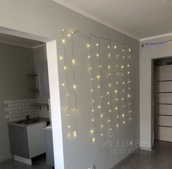 1-к кв. Красноярский край, Красноярск Лесопарковая ул., 33 (26.0 м) - Фото 2