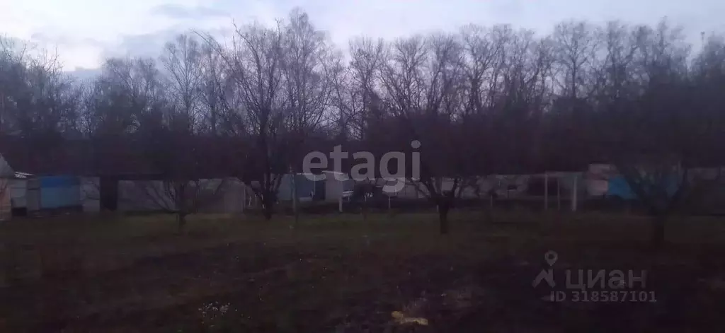 Участок в Белгородская область, Яковлевский муниципальный округ, ... - Фото 1