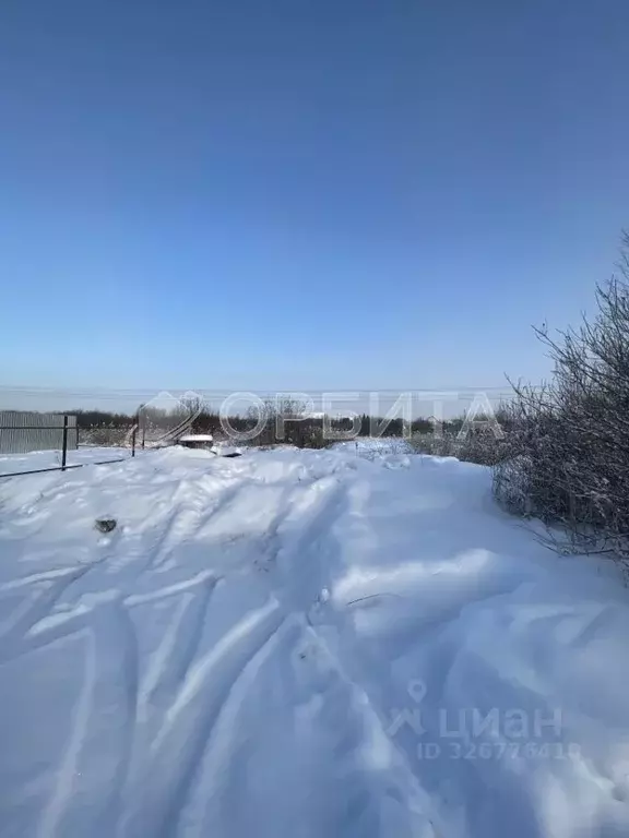 Участок в Тюменская область, Тюмень Энергостроитель СНТ, ул. Липовая ... - Фото 2