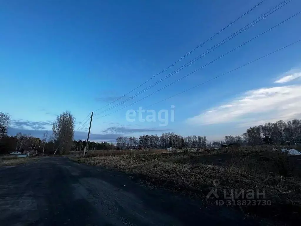 Участок в Новосибирская область, Искитимский район, д. Бурмистрово  ... - Фото 0