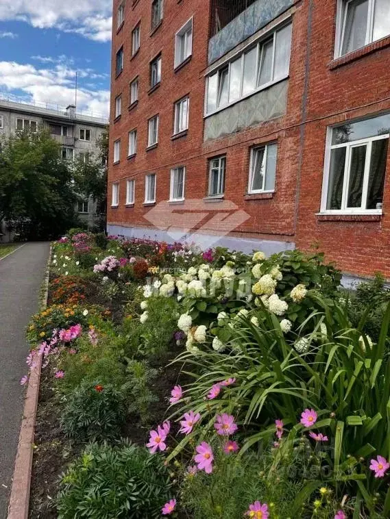 Студия Кемеровская область, Кемерово Спортивная ул., 34А (30.0 м) - Фото 0