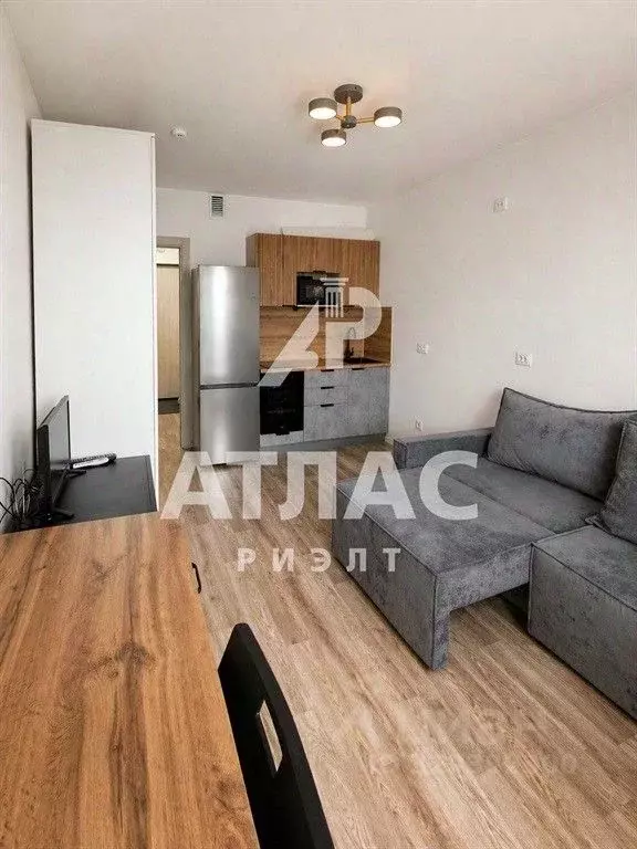 Студия Санкт-Петербург наб. Реки Каменки, 21к1 (18.9 м) - Фото 2