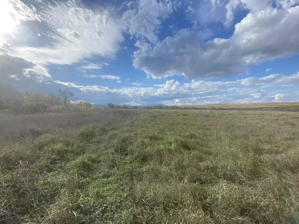 Участок в Крым, Феодосия муниципальный округ, с. Насыпное ул. Анатолия ... - Фото 1