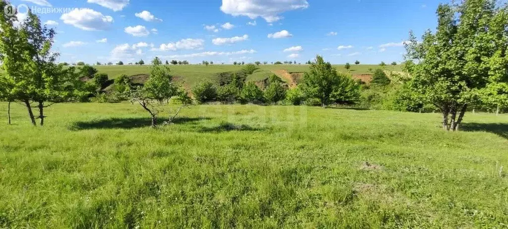 Участок в Рамонский район, село Русская Гвоздёвка (12 м) - Фото 0