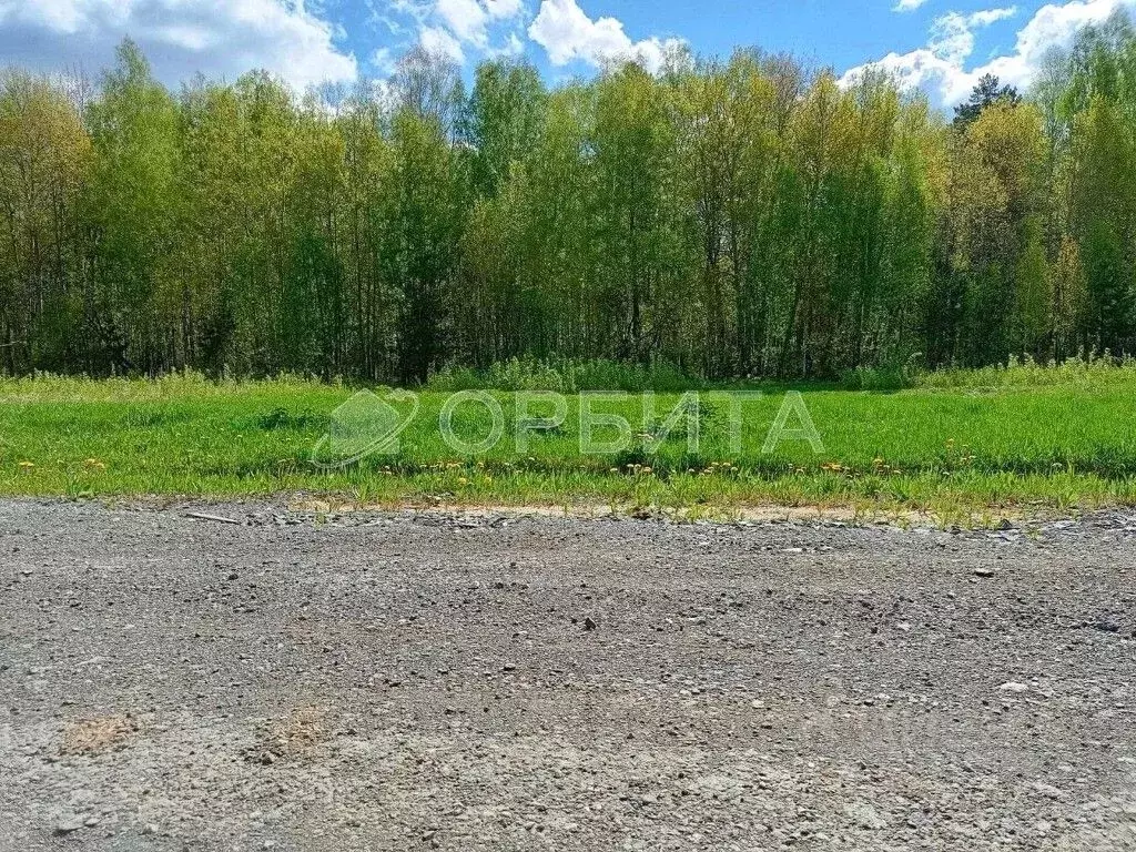 Участок в Тюменская область, Тюменский район, с. Кулига, Сказка кп  ... - Фото 1