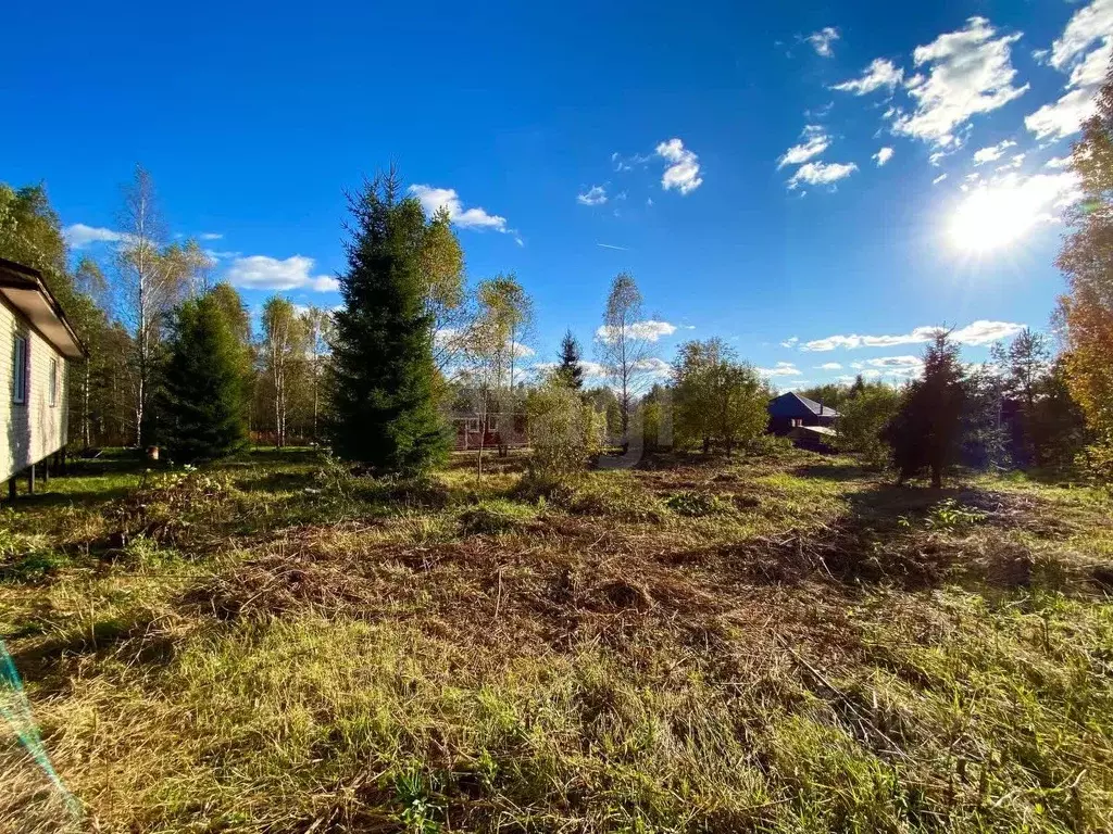 Участок в Московская область, Дмитровский муниципальный округ, д. ... - Фото 1