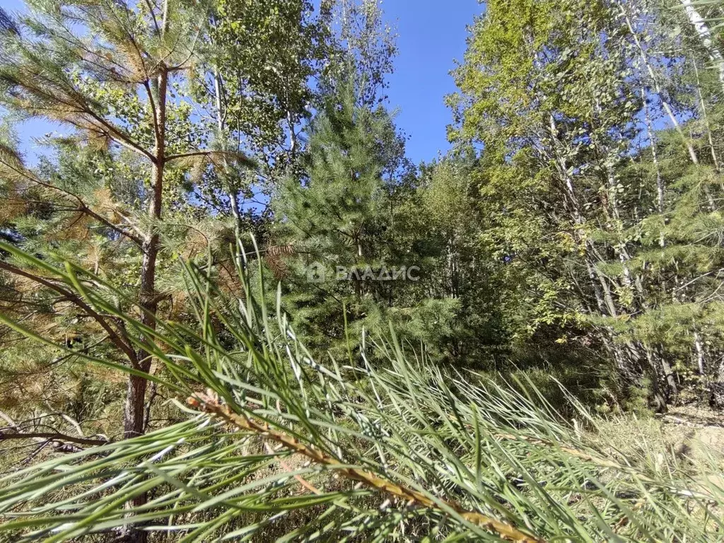 Участок в Калужская область, Калуга городской округ, д. Груздово 44 ... - Фото 1