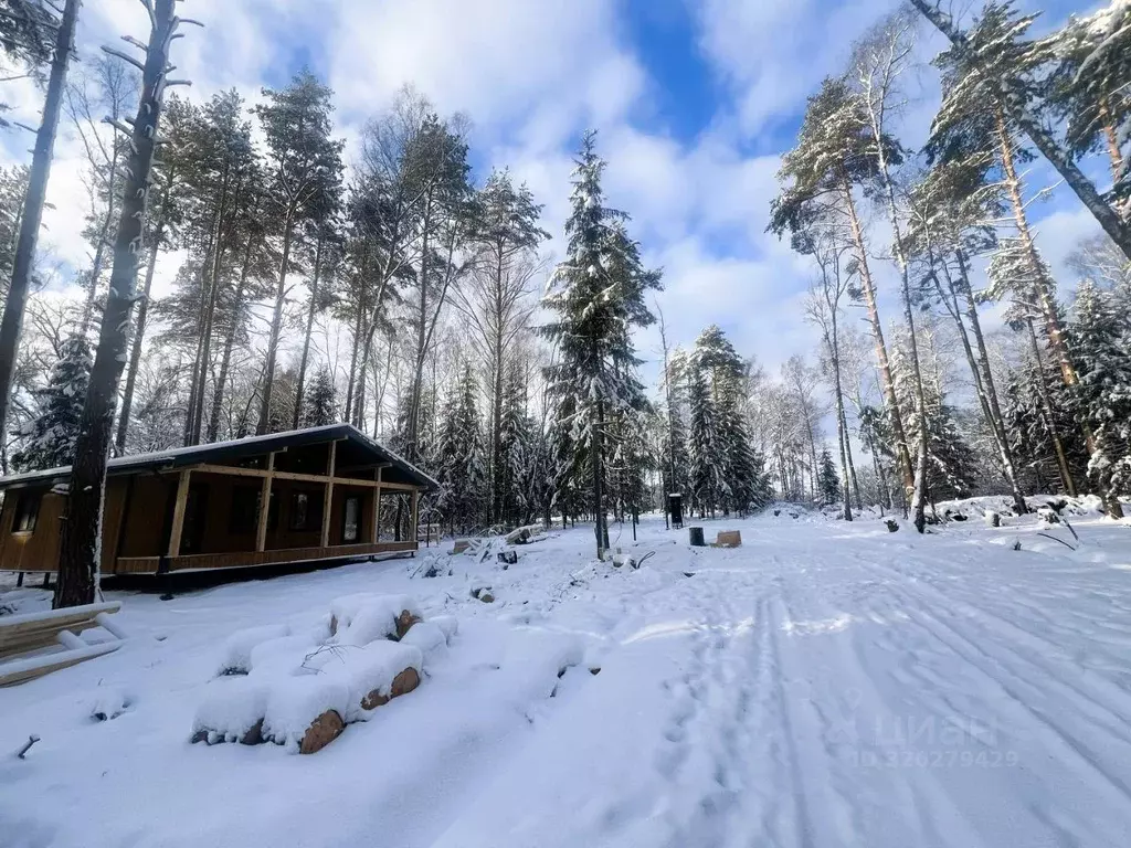 Дом в Московская область, Чехов муниципальный округ, д. Слепушкино  ... - Фото 2