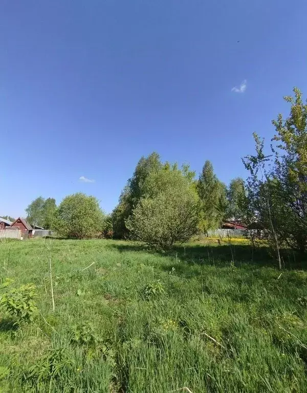 Участок в Московская область, Орехово-Зуевский городской округ, д. ... - Фото 2