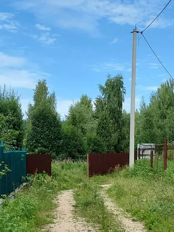 Участок в Псковская область, Печорский муниципальный округ, д. Лесицко ... - Фото 2