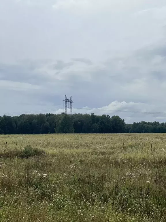 Участок в Новосибирская область, Мошковский район, Барлакский ... - Фото 0