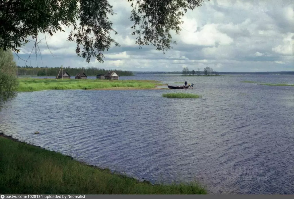 Участок в Новгородская область, Валдайский муниципальный округ, ... - Фото 1