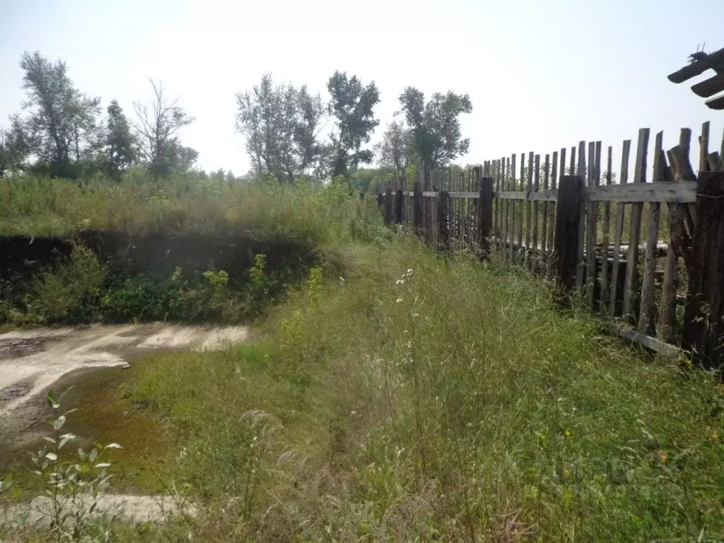 Участок в Иркутская область, Усольский район, Тельма рп Ангарская ул. ... - Фото 1