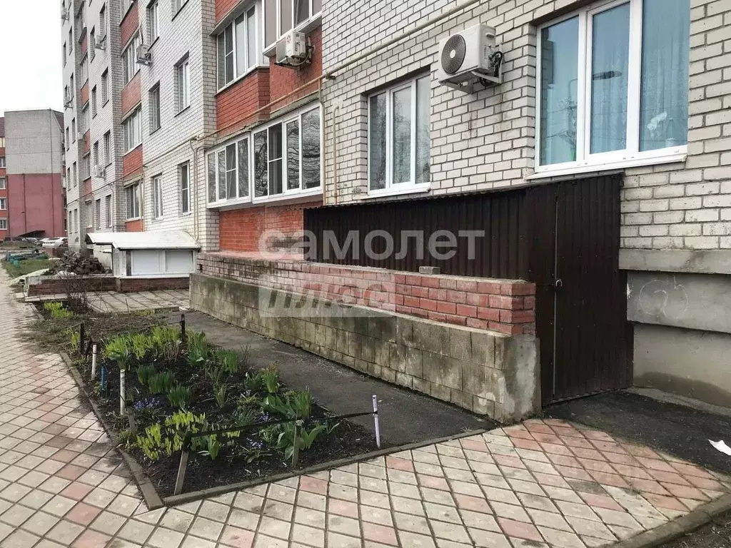 Помещение свободного назначения в Курская область, Курск Орловская ... - Фото 0