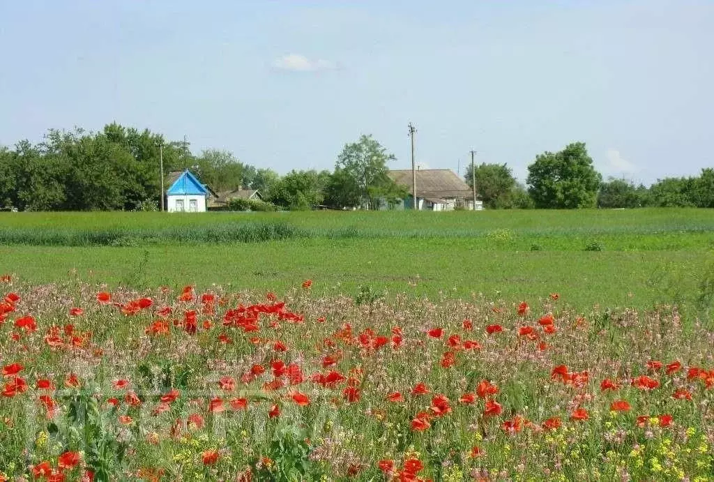 Участок в Краснодарский край, Кущевский район, с. Ильинское ул. ... - Фото 0