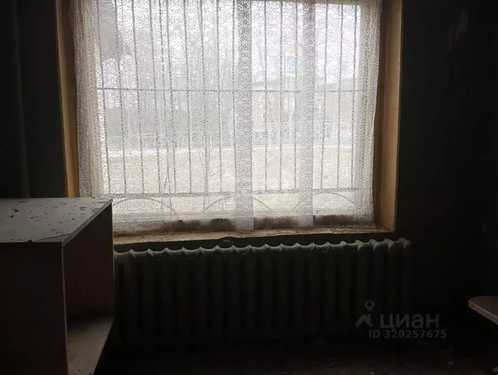 Торговая площадь в Костромская область, Нерехтский район, Пригородное ... - Фото 1