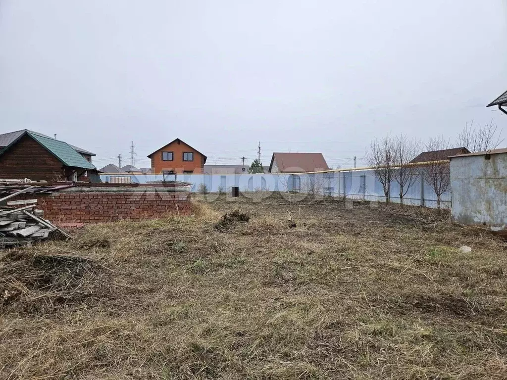 Участок в Новосибирская область, Новосибирский район, с. Толмачево ул. ... - Фото 1